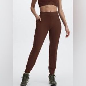 Fabletics brown joggers